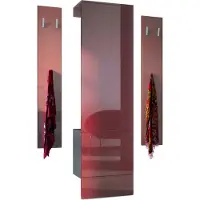 Vladon Garderoben-Set Hollywood, bestehend aus 1 Garderobenpaneel mit integrierter Tür, 1 Kleiderstange und 1 Wandpaneel Set, Anthrazit matt/Bordeaux Hochglanz
