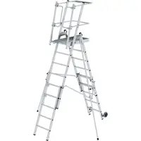 MUNK Günzburger Steigtechnik MUNK Plattformleiter FlexxStep 6 Sprossen mit Teleskopaufsatz plus 3 Sprossen