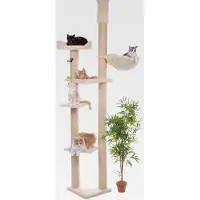 Markenlos Deckenkratzbaum Livorno. Stufenlos verstellbar von 240-265 cm. In vielen Farben lieferbar. Hochstabil mit 5 Aussichtsmöglichkeiten für Ihren Stubentiger. Germany
