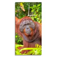 Wallario Design Wanduhr bedruckt, Größe 30 x 60 cm, Motiv: Orang-Utan im Regenwald