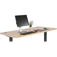 Mendler Tischplatte MCW-D40 für Schreibtische, Schreibtischplatte, 160x80cm MVG- hellbraun