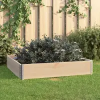 vidaXL Möbel Hochbeet 100x100 cm Kiefer Massivholz - Beete 3055168