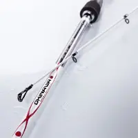Jenzi Spinnrute Rute Okinawa JPX 25-60g 2,40m