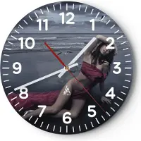 ARTTOR Wanduhr - Rund - Glasuhr - Modell Möwe Vogel Natur - 40x40cm - Schleichendes Uhrwerk - Lautlos - zum Aufhängen bereit - Dekoration Modern - Wanddekoration aus Glas - C4AR40x40-2144