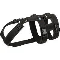 AnnyX anny-x Sicherheitsgeschirr Safety schwarz S