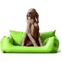 Tierlando NEMO Hundebett Hundesofa S M L Hundekorb Katzenbett 65 80 100cm - Größe: 80x60cm | Farbe: 19 Kiwi