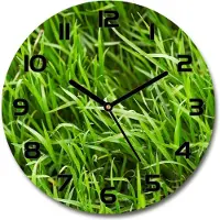 Tulup Wanduhr aus Glas 30fi Glasbild Glasuhr Gehärtetes Glas - schwarze-zeiger - Grass