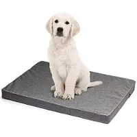 BOUTIQUEZOO BOUTIQUE ZOO Hundematratze für Hunde | M: 88 x 65 x 6 cm | Hundesofa Hundekissen Hundematte für groß und klein | Codurastoff | Elegant | Waschbar | Farbe: Grau