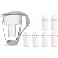Dafi Kristallglas-Wasserfilterkanne (Stahl) 2 L