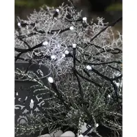 Best Season LED-Lichterkette, 160tlg. Farbe cool white, outdoor, m. Trafo, Kabel:schwarz, 498-38