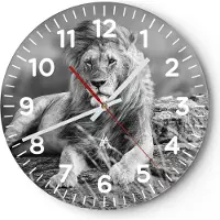 ARTTOR Wanduhr - Rund - Glasuhr - Löwe Tier Natur - 30x30cm - Schleichendes Uhrwerk - Lautlos - zum Aufhängen bereit - Dekoration Modern - Wanddekoration aus Glas - C4AR30x30-3931