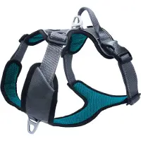 Petlando Outdoor Geschirr petrol S