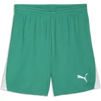 Puma teamLIGA26 Shorts Flock: - Größe: XXL