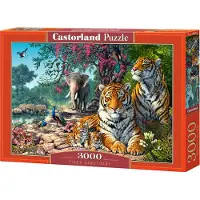 Castorland C-300600-2, 3000 Stück(e), Tiere, 9 Jahr(e)