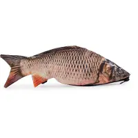 Ferocity Mäppchen Federtasche Schlamperbox Federmäppchen Schüleretui Karpfen Stiftemappe Fisch [008]