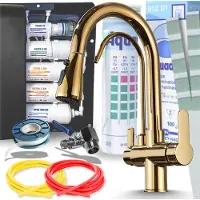 ARI Nordic 3-Wege Küchenarmatur Gold Ausziehbar mit 5-Stufen Wasserfiltersystem Untertisch Trinkwasserfilter