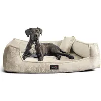 Tierlando Orthopädisches Hundebett FRANKLIN Kuscheliger Teddy-Stoff - Hundesofa - Größe: 130x100cm | Farbe: 05 Creme