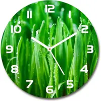 Tulup Wanduhr aus Glas 30fi Glasbild Glasuhr Gehärtetes Glas - weisse-zeiger - Grass