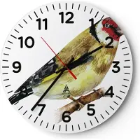 ARTTOR Wanduhr - Rund - Glasuhr - Stieglitz Vogel Aquarell - 40x40cm - Schleichendes Uhrwerk - Lautlos - zum Aufhängen bereit - Dekoration Modern - Wanddekoration aus Glas - C4AR40x40-4179