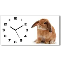 Tulup Wanduhr aus Glas – 60x30 cm - Glasbild - Glasuhr - Gehärtetes Glas - schwarze-zeiger - Rothaarige Kaninchen