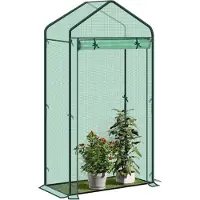 Woltu Foliengewächshaus Treibhaus Gartenhaus Gewächshaus,100x50x190cm, Grün