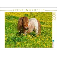 CALVENDO Puzzle Ein Pony in der Sommerwiese in Radstadt | 2000 Teile Lege-Größe 90x67cm Foto-Puzzle für glückliche Stunden