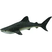 Collecta Rekin