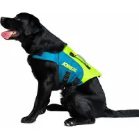 Jobe Hunde-schwimmweste