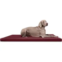 Tierlando CARLOS Ortho-Medic Orthopädische Hundematte Kunstleder Visco Hundebett Matratze - Größe: 100x80cm | Farbe: 04 Dunkelrot