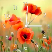 Wallario Design Wanduhr Mohnblumenblüten aus Echtglas, Größe 30 x 30 cm