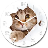 Tulup Wanduhr aus Glas 30fi Glasbild Glasuhr Gehärtetes Glas - weisse-zeiger - Cat