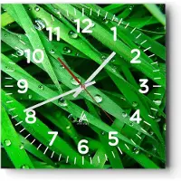 ARTTOR Wanduhr - Quadrat - Glasuhr - Natur Gras Wasser Tropfen - 40x40cm - Schleichendes Uhrwerk - Lautlos - zum Aufhängen bereit - Dekoration Modern - Wanddekoration aus Glas - C4AC40x40-1562