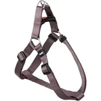 Flamingo Geschirr Step & Go Ziggi braun, Maße: 35-60 cm / 20 mm
