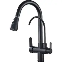 OEM Wasserhahn, Dual-Handle, Ausziehbare Sprühdüse, Matte Schwarz