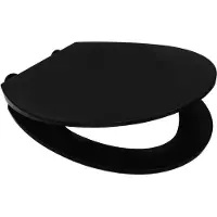 RIDDER WC-Sitz Memphis mit Soft-Close schwarz 02217110