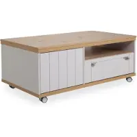 Harper Couchtisch WORCHESTER LBH 118x68x47 cm Wohnzimmertisch