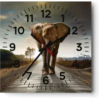 ARTTOR Wanduhr - Quadrat - Glasuhr - Elefant Straße Landschaft - 40x40cm - Schleichendes Uhrwerk - Lautlos - zum Aufhängen bereit - Dekoration Modern - Wanddekoration aus Glas - C4AC40x40-0214