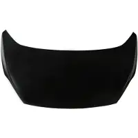 BLIC Motorhaube 6803-00-2506280P
