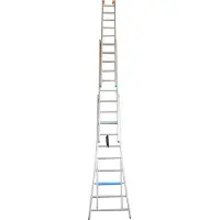 Asc VGS Schiebeleiter 3x9 Sprossen