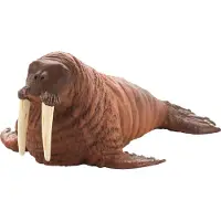 Small Foot Mojo Fun Walrus (Portugal), 3 Jahr(e), SEALIFE, Braun, Weiß, Polyvinylchlorid (PVC)