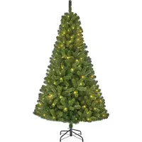 Black Box Charlton Künstlicher Weihnachtsbaum mit LED-Beleuchtung - H215 cm - Grün