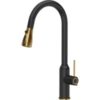Quadron Virtuvinis maišytuvas Quadron Jessica Q LINE PullOut SteelQ stovi juodas su aukso spalvos elementais