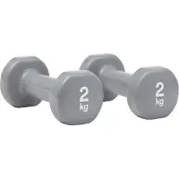 Reebok Hantelset 2 kg aus Gusseisen und Vinyl, grau, mit abgeflachtem Kopf