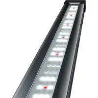 Tetra Lichtleiste tetronic Led Proline 980