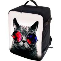 Ferocity Flugzeug Handgepäck, Rucksack für Ryanair, 40x25x20 cm, gepolstert, Flugzeugtasche, Handtasche, Reisetasche, Koffer Größe, Galaxy Cat [102]