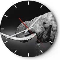 ARTTOR Wanduhr - Rund - Glasuhr - Elefant Stoßzahn Natur - 30x30cm - Schleichendes Uhrwerk - Lautlos - zum Aufhängen bereit - Dekoration Modern - Wanddekoration aus Glas - C3AR30x30-3443