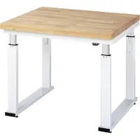 RAU Werkbank adlatus 600 elektrisch höhenverstellbar Buche-Massiv-Platte 1000 mm x 900 mm