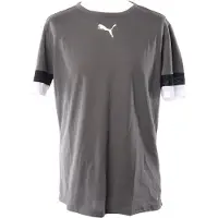 Puma Teamrise Trikot Kurzarm Herren - Grau