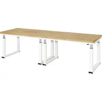 RAU Werkbank elektrisch höhenverstellbar, B3000xT900xH740-1140mm, B-Platte-40 mm