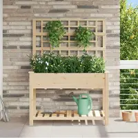 vidaXL "Rabatt" Garten-Hochbeet/Pflanzgefäß/Pflanzkübel - mit Regal Beige 115x60,5x153 cm - Beete CC18912